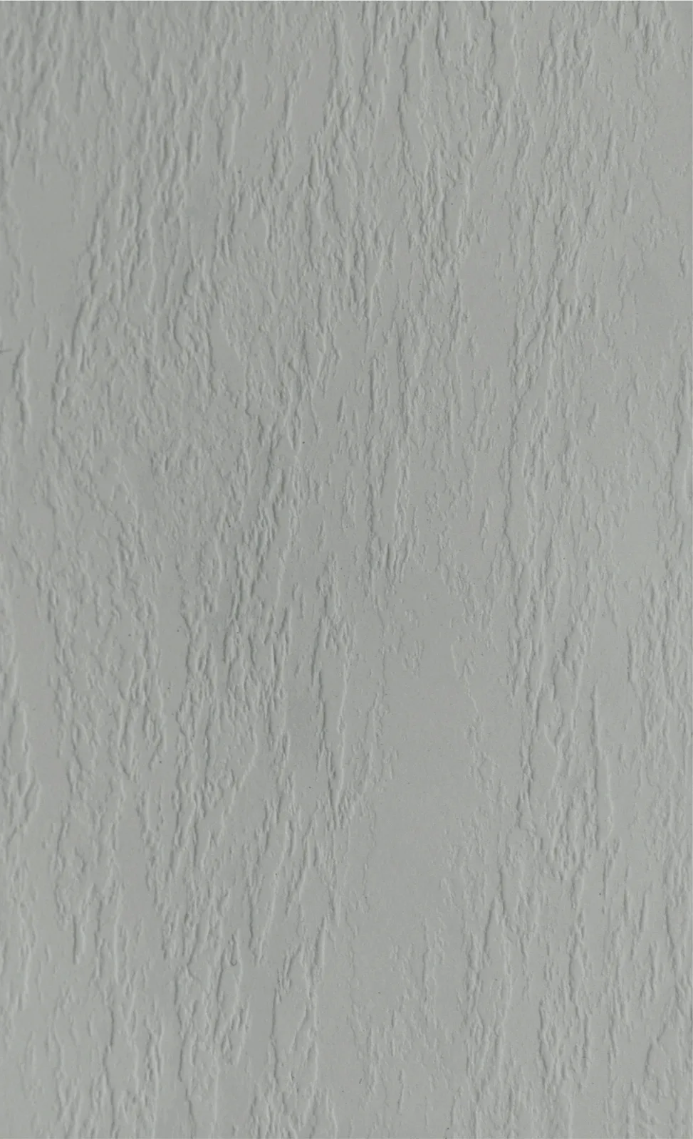 SE
