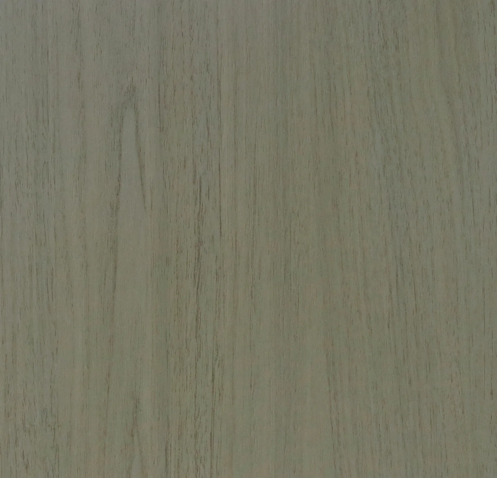 SG