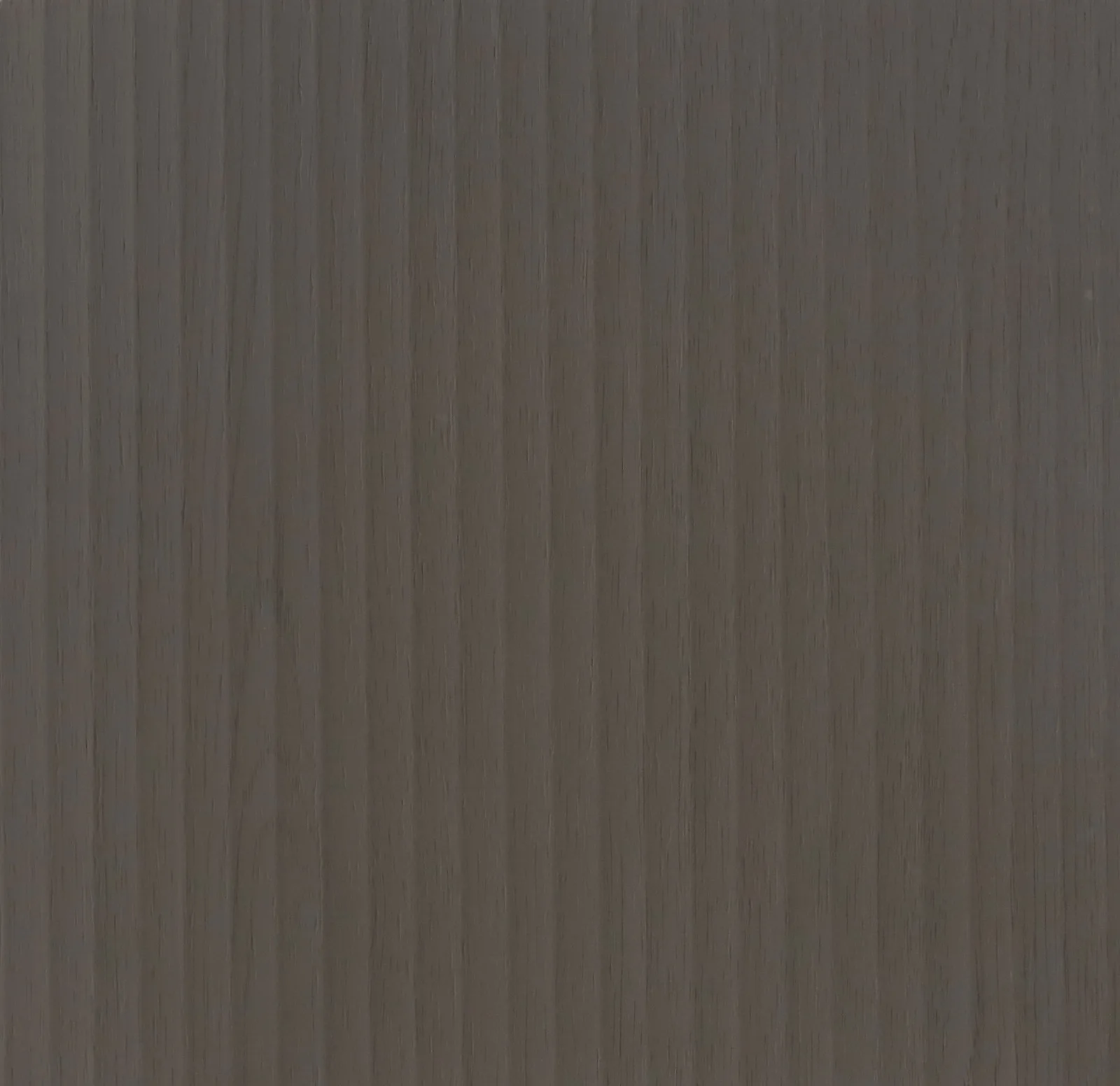 AM