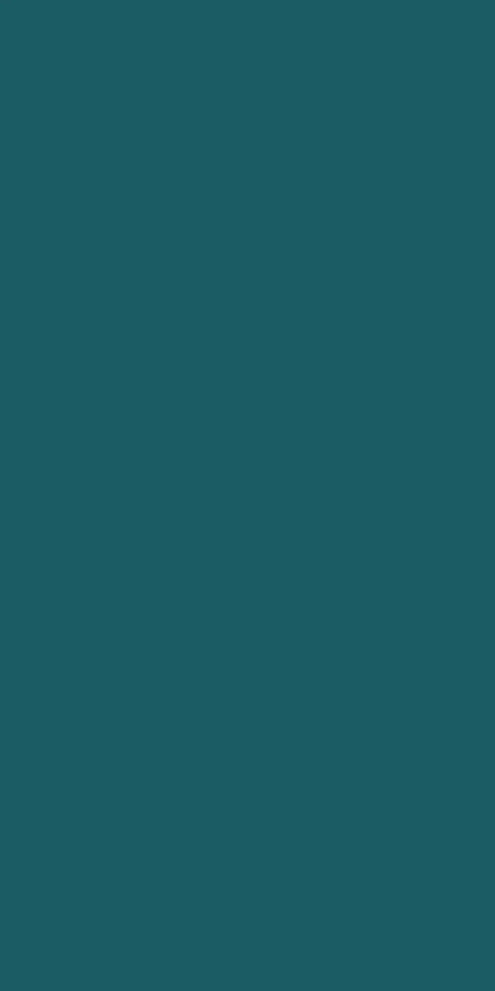 15137 DL