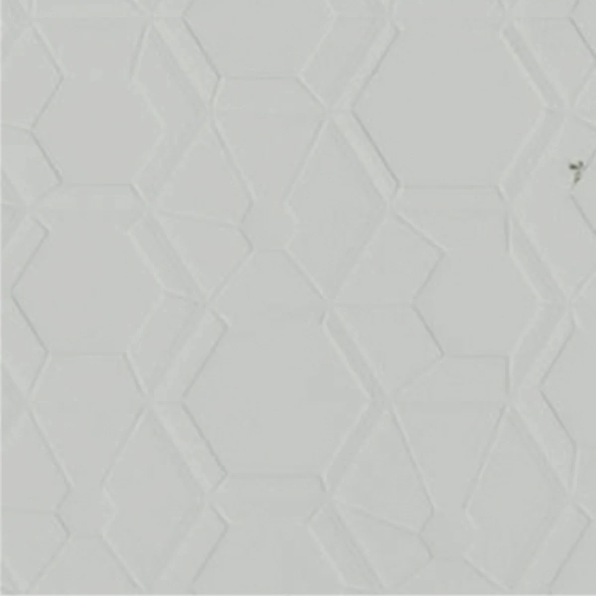 AB