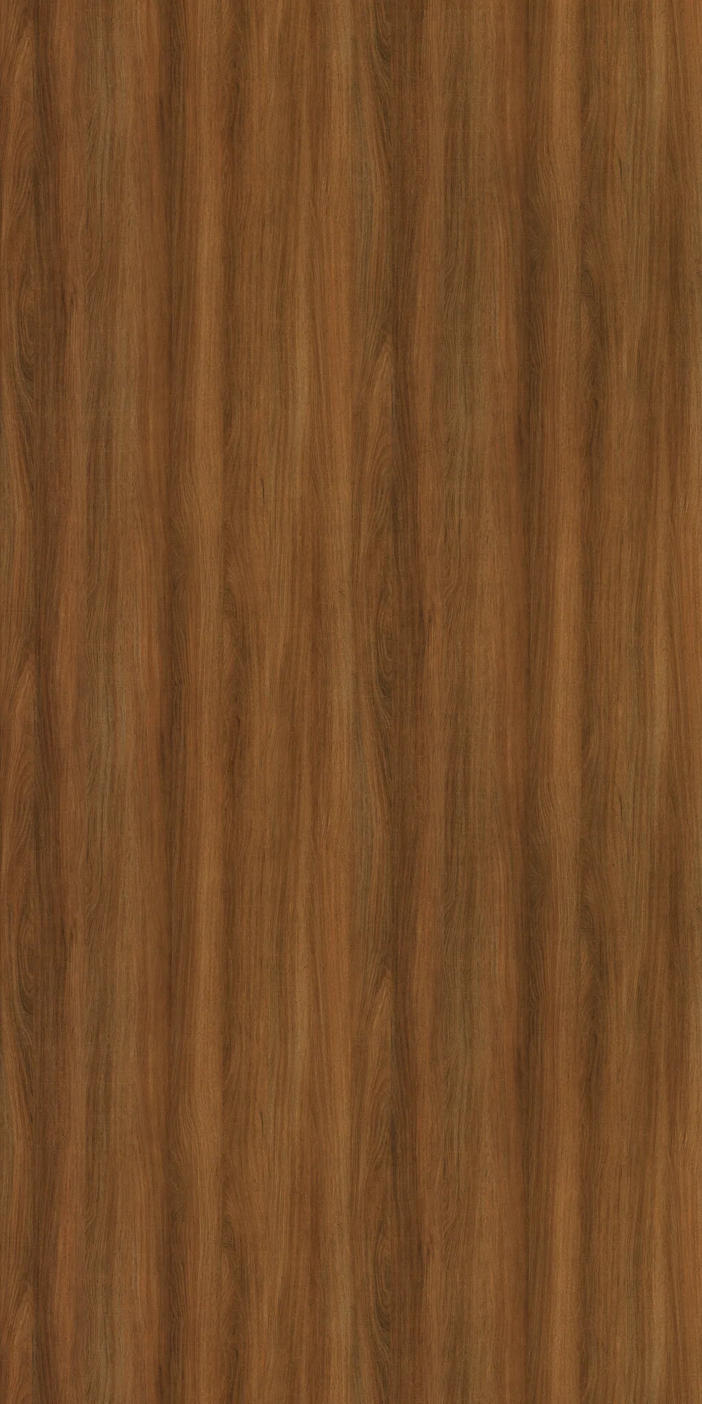 3651 ML